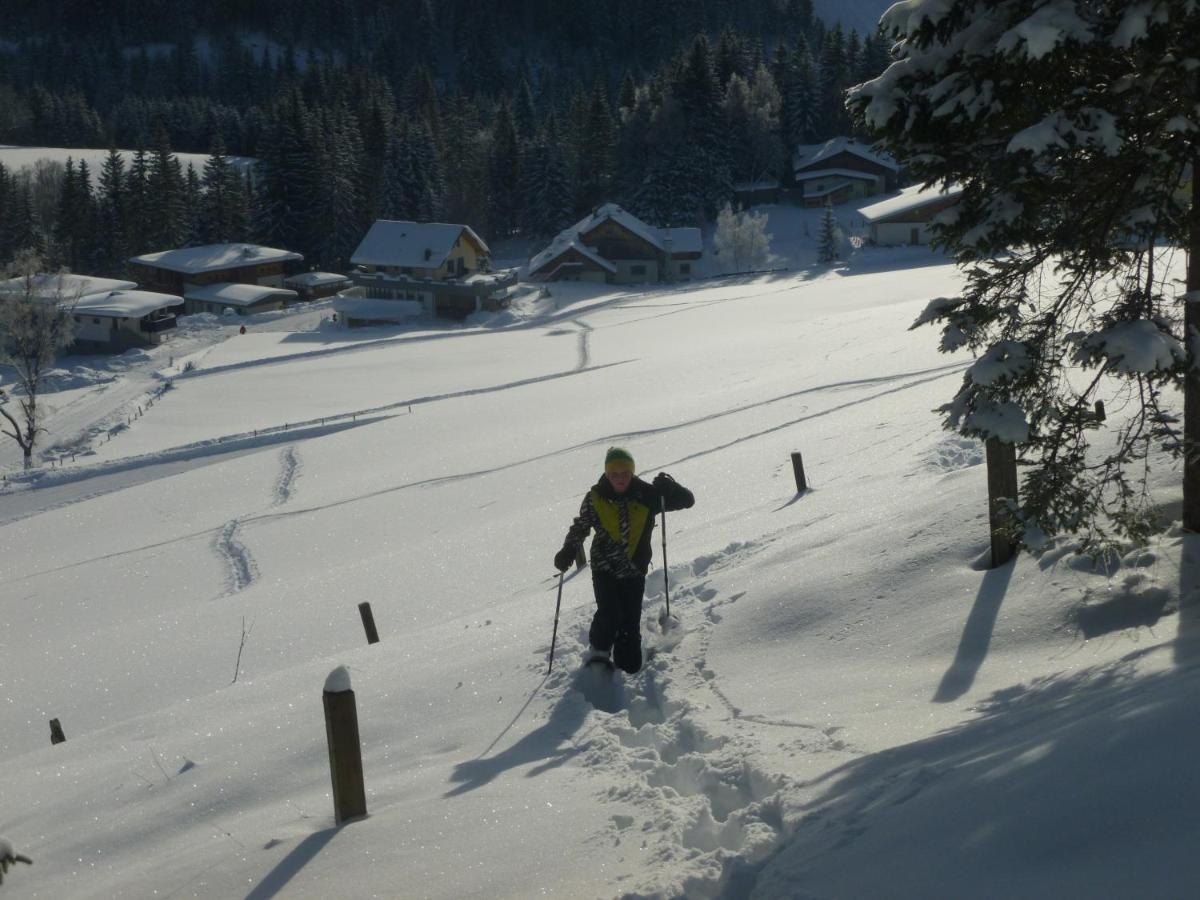 Ferienwohnung "Mein Alpenjuwel" Filzmoos Zewnętrze zdjęcie
